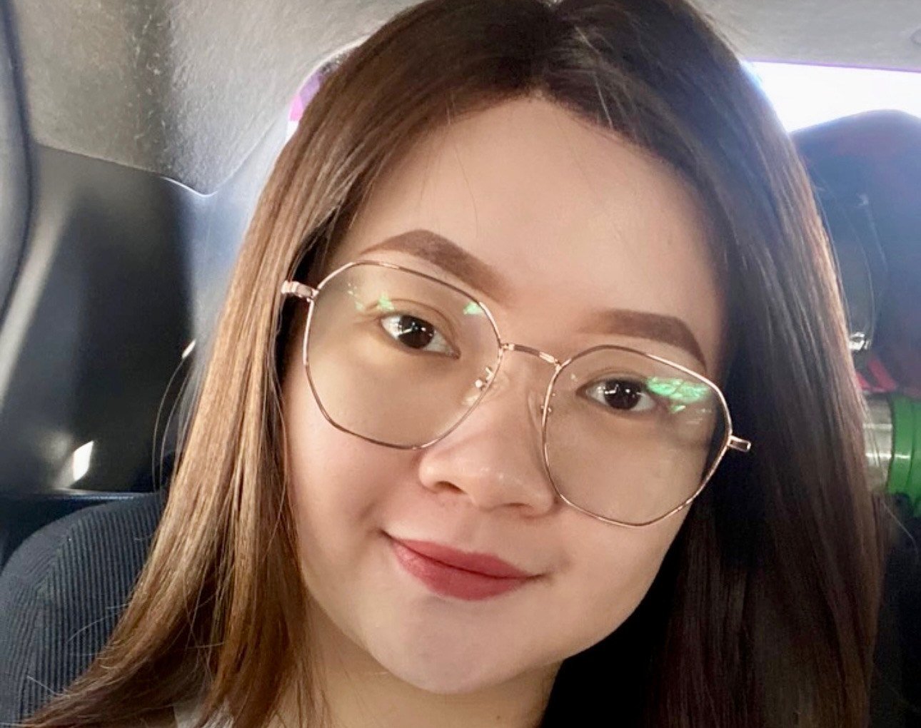 Everyday long brown wig with glasses